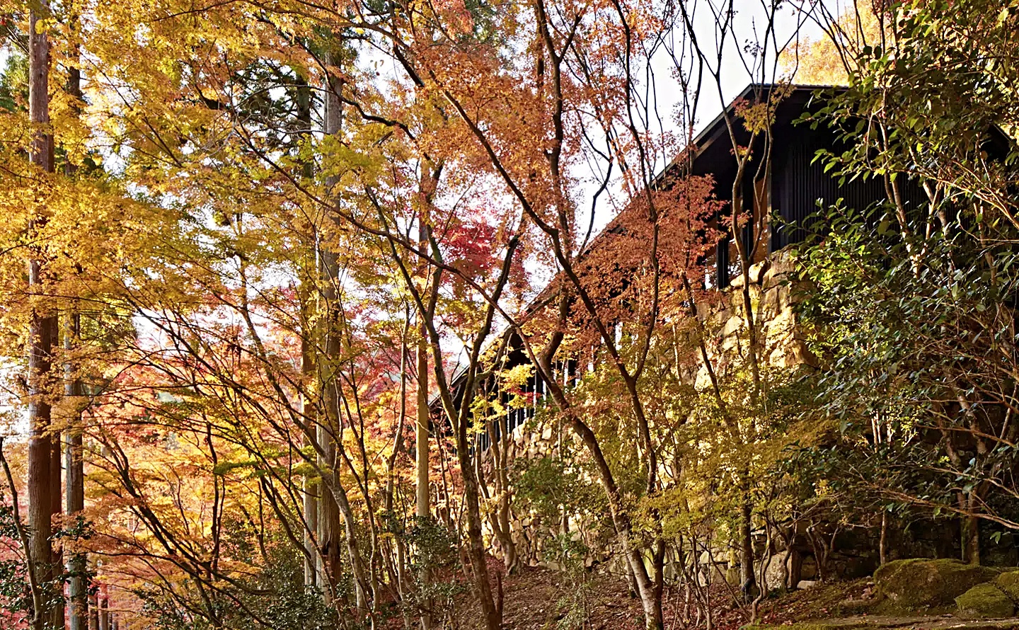 다카가미네 파빌리온